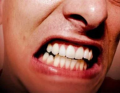 Miniatura: „Macho jest w Polsce w modzie. A, że...