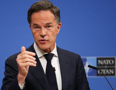 Miniatura: Szef NATO skomentował wycofywanie wojsk...