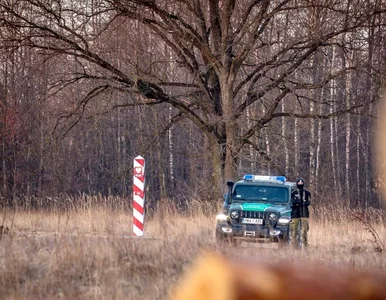 Miniatura: Strzały na granicy polsko-białoruskiej....