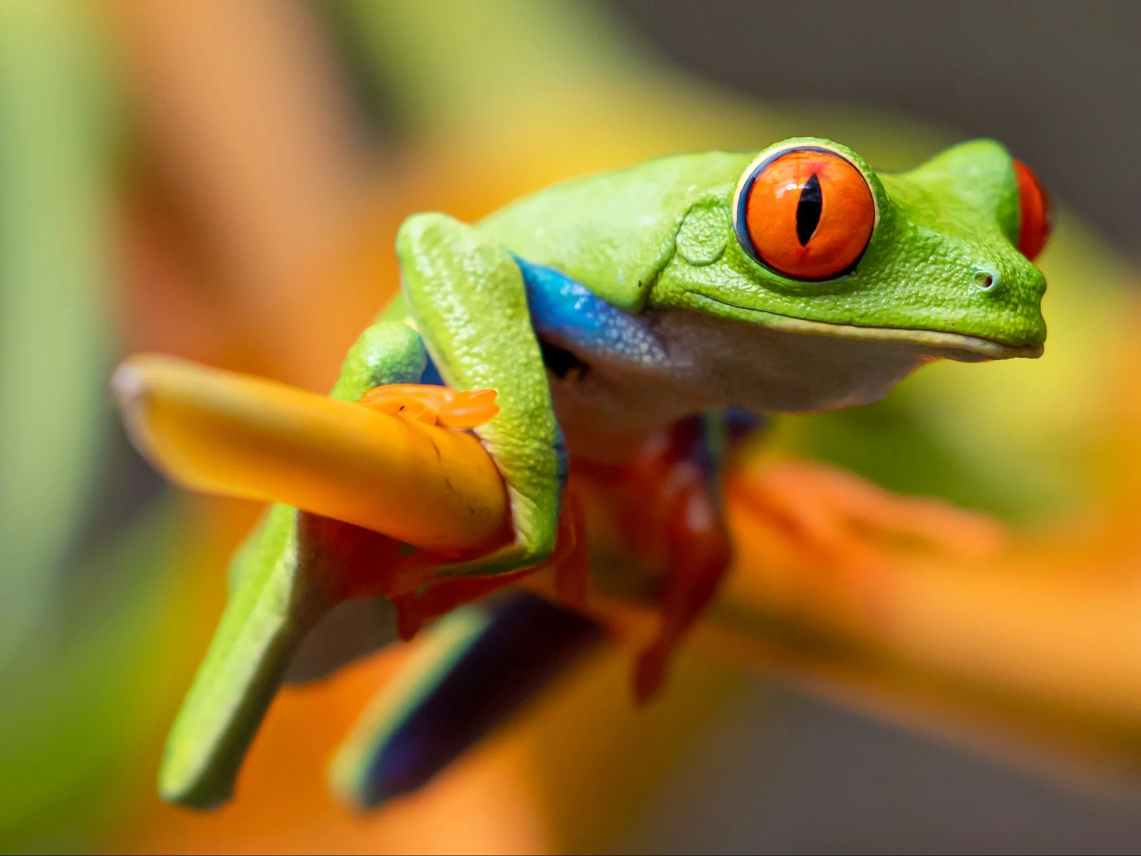 Ekspresowy quiz z wiedzy ogólnej. Przetestujemy Twoją wiedzę