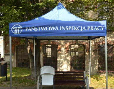 Miniatura: Reforma Państwowej Inspekcji Pracy na...