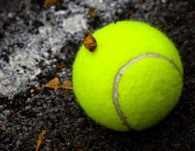 Miniatura: Turniej ATP w Szanghaju: Kubot przegrał z...