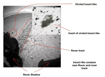 Łazik Curiosity i ogromny, marsjański insekt 