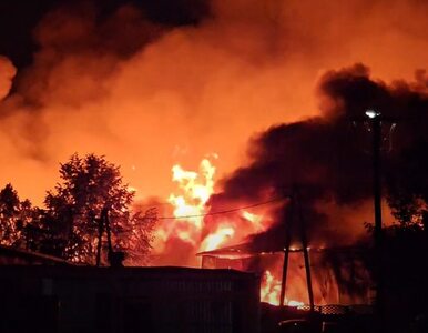 Miniatura: Poważny pożar stolarni w Gnieźnie....