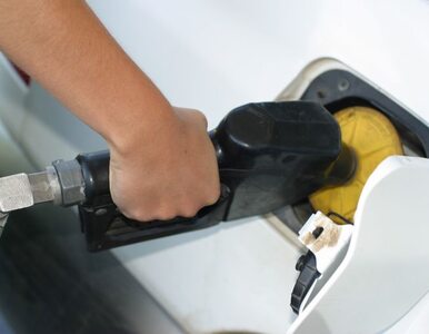 Miniatura: Ceny benzyny rosną