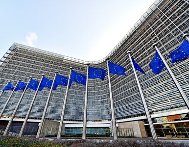 Miniatura: Komisja Europejska zmienia procedury...