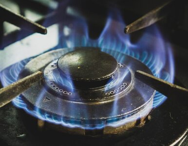 Miniatura: Naukowcy alarmują: kuchenki gazowe gorsze...