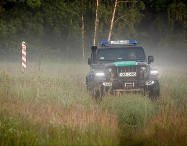 Miniatura: Napór migrantów nie słabnie. Kolejne próby...