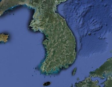 Miniatura: Korea Północna wypuściła jednego z...