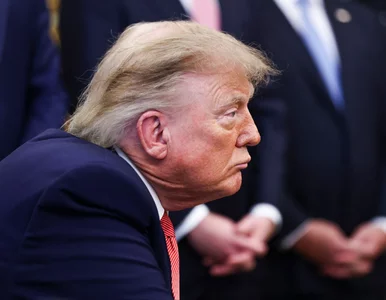 Miniatura: PiS nie wie, jak ma mówić o Trumpie i...