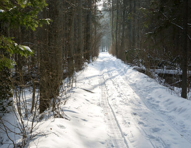 Miniatura: Naukowcy i przyrodnicy alarmują ws....
