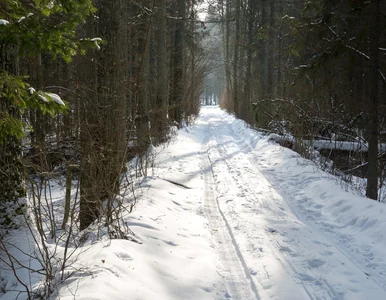 Miniatura: Naukowcy i przyrodnicy alarmują ws....