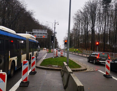 Miniatura: Autobus jeździ tutaj pod prąd. Pierwszy...