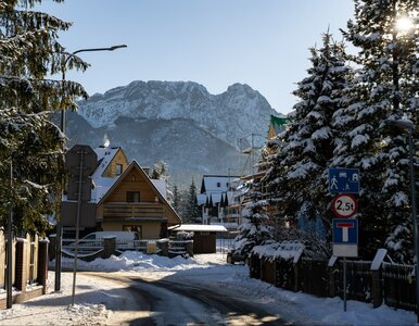 Miniatura: Apel do turystów w Zakopanem. „Prosimy,...