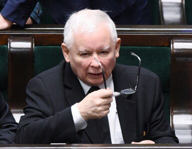 Miniatura: Kaczyński przed sądem: Nigdy nie wydałem...