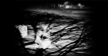 W kategorii Observed Portraits (Portret w otoczeniu naturalnym) wygrało zdjęcie Nemanji Pancicia pt. "Little survivor" ("Mały ocalony").