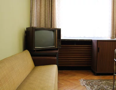 Miniatura: Perły z PRL. Dziś można na nich nieźle...