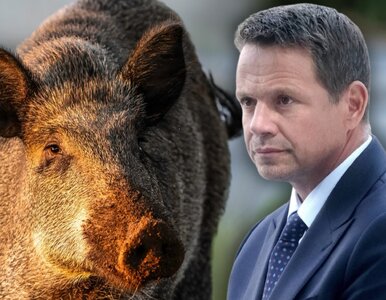 Miniatura: Presja zadziałała. Trzaskowski zmienia...