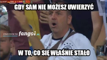 Mem po zwycięstwie Niemców ze Szwecją 