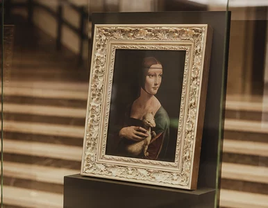 Miniatura: Dama z gronostajem bez naszyjnika w Muzeum...