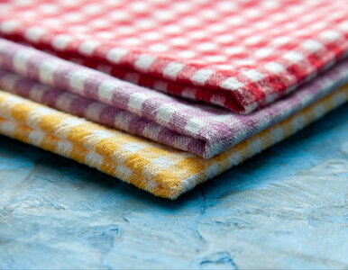 Miniatura: Jedna ściereczka, miliony bakterii. Oto...