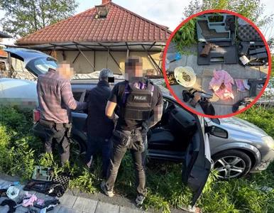 Miniatura: Warszawscy policjanci rozbili gruziński...