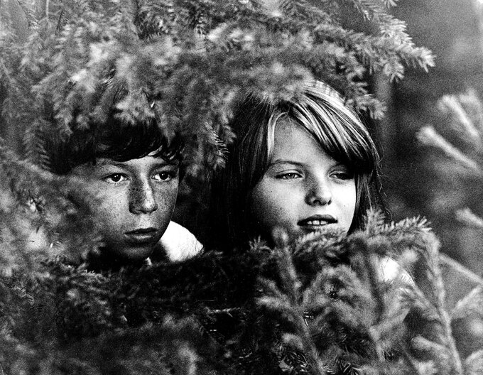 Roman Mosior i Bożena Fedorczyk w 1972 roku w filmie „Motyle”