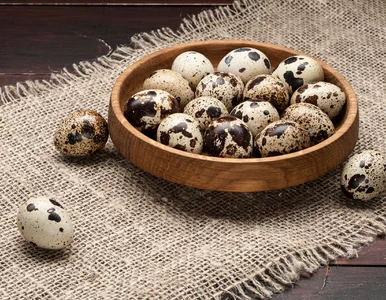 Miniatura: Wyglądają niepozornie, a biją kurze na...