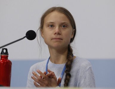 Miniatura: Greta Thunberg krytycznie o działaniach...