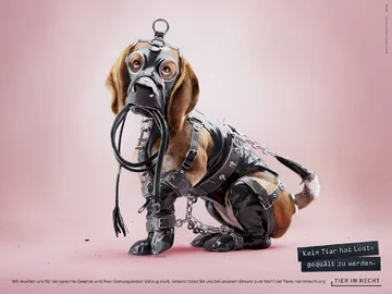 Zwierzaki w strojach BDSM 