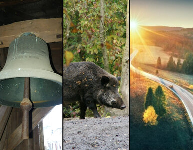 Miniatura: QUIZ jak krzyżówka. Chylimy czoła, jeśli...