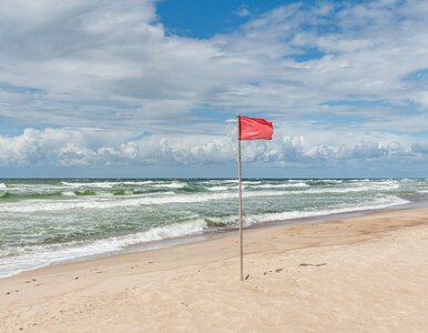 Miniatura: Aż 140 czerwonych flag nad polskim morzem....