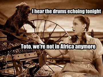 Mem na temat piosenki "Africa" zespołu Toto 