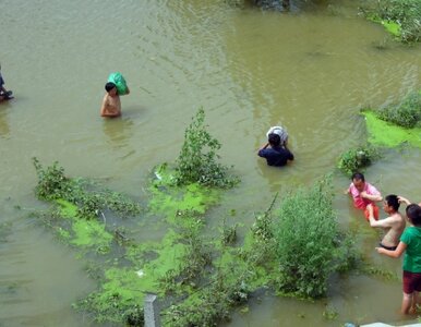 Miniatura: Chiny: krytykujesz władzę, tracisz tygodnik