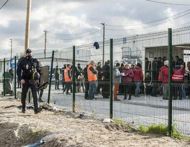 Miniatura: Polak zginął w Calais na barykadzie...