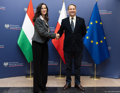 Miniatura: Zwrot ws. unijnych pieniędzy. Sikorski...