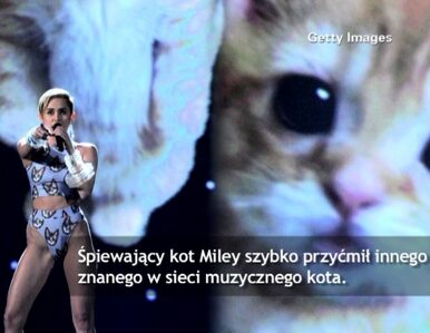 Miniatura: Śpiewający kot Miley Cyrus - nowa gwiazda...