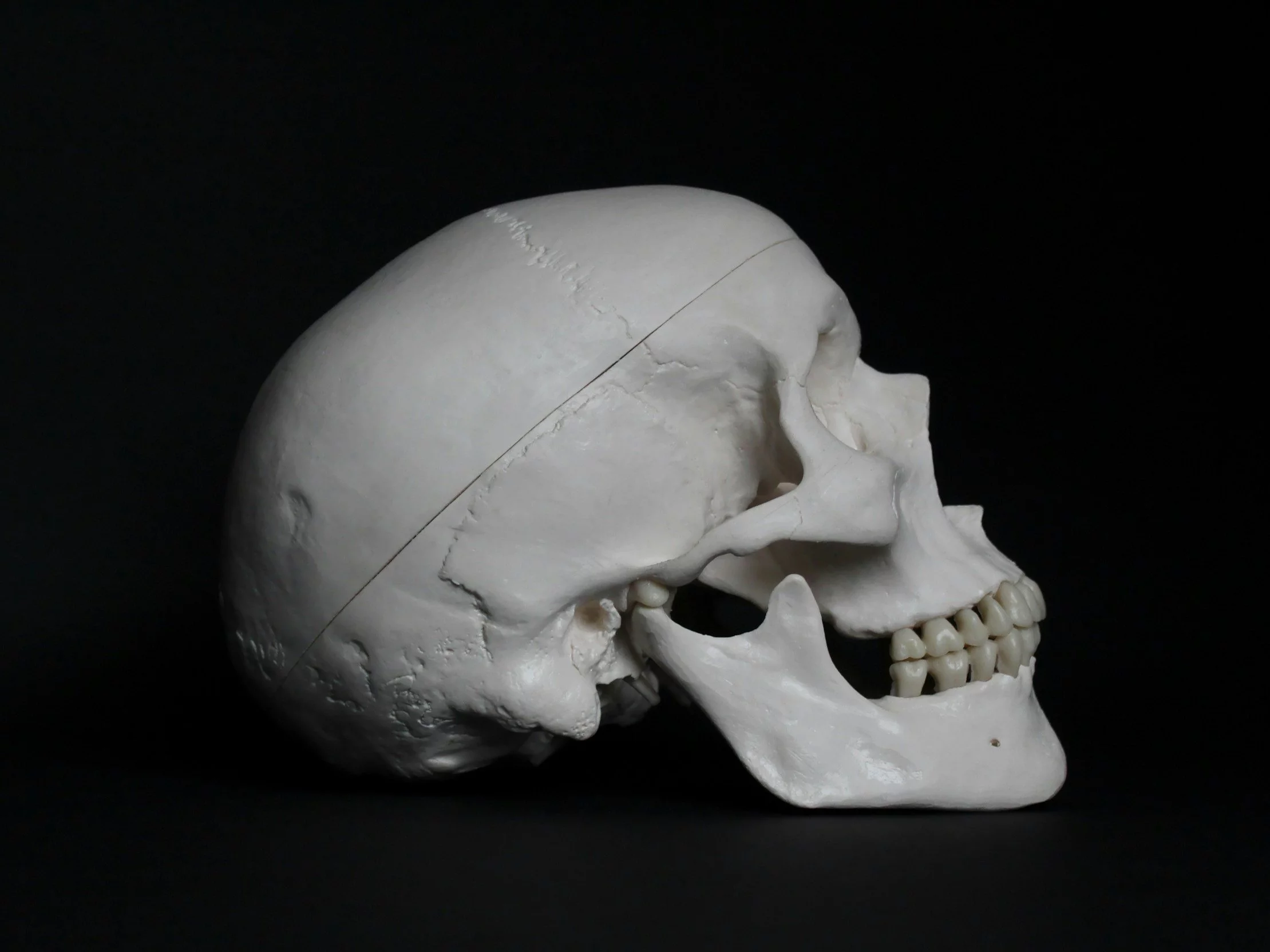 12 pytań z anatomii. Jak dobrze znasz swoje ciało?