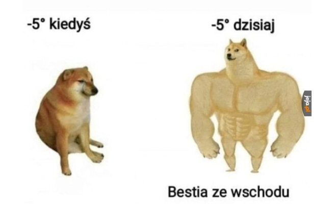 Miniatura: Memy na mrozy. Śmiech rozgrzeje w zimne dni