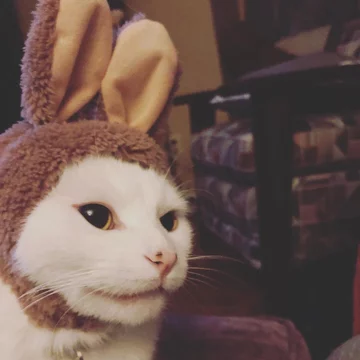 Smudge 