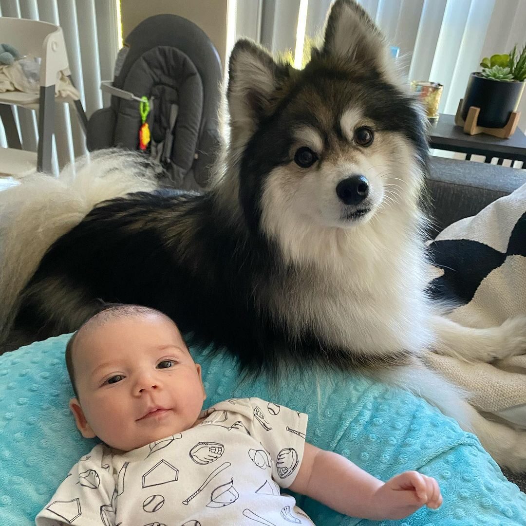 Norman i dziecko 