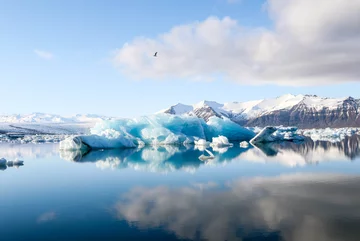 Islandia Iceberg reflection in Jökulsárlón