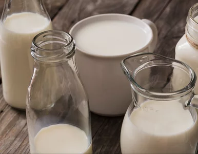 Miniatura: To mleko Polacy kupują na potęgę....