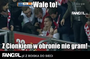 fot. fangol.pl