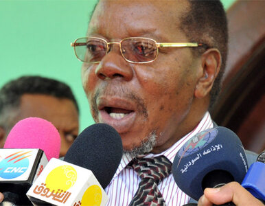 Miniatura: Banda zastąpiła zmarłego prezydenta Malawi