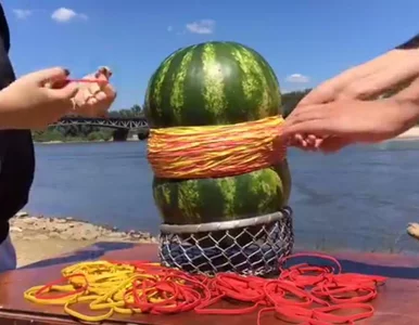 Miniatura: Ile gumek recepturek potrzeba, by...