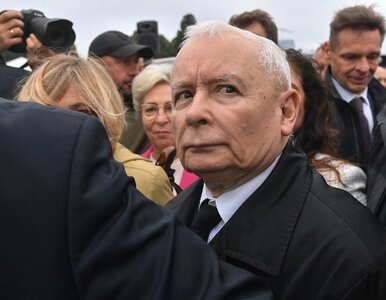 Miniatura: PiS ma plan na osłabienie koalicji. „Są...