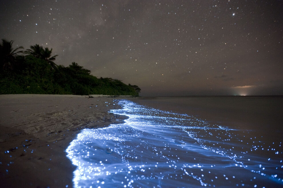 Morze Gwiazd na wyspie Vaadhoo, Malediwy
