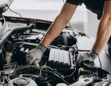 Miniatura: UE idzie na rękę właścicielom starszych...