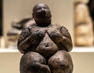 Miniatura: Pierwotny matriarchat. Część badaczy nie...